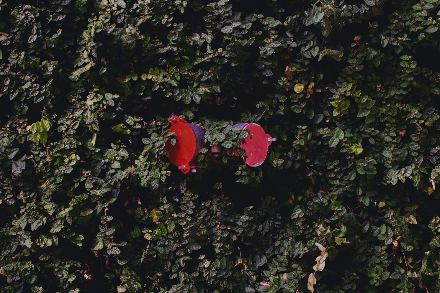 Outdoor garden tap protected during winter
